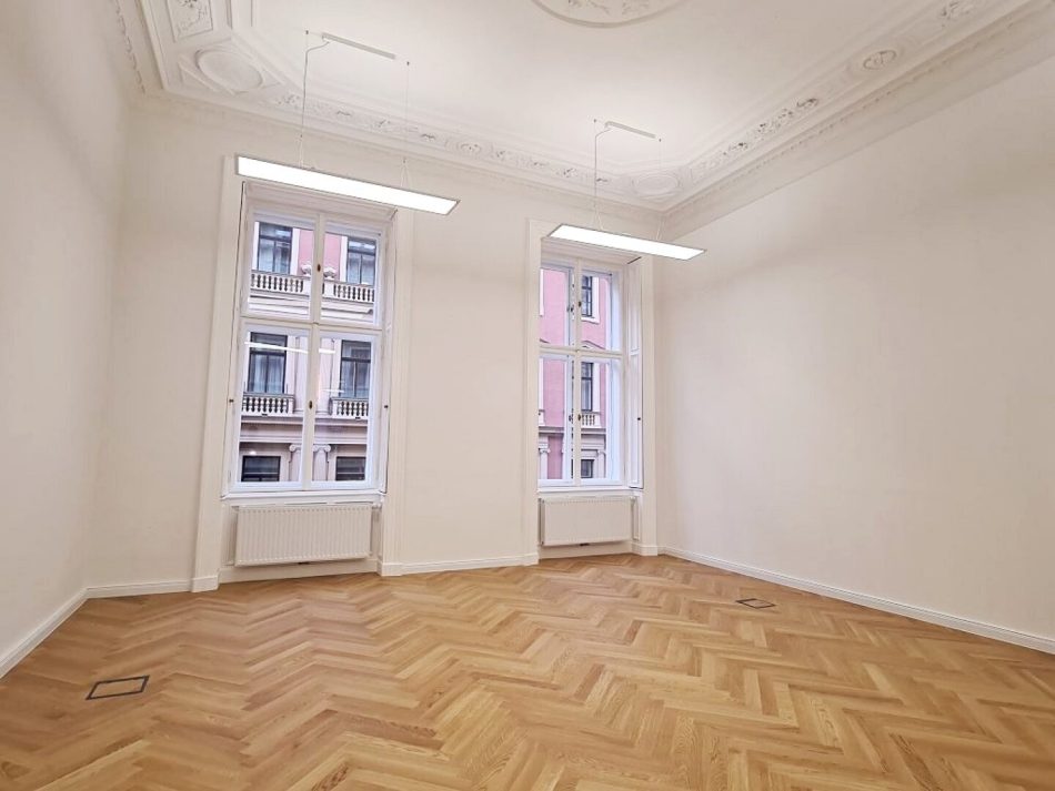 Toplage, Börse-Nähe, representatives 158 m² Altbaubüro, 4 Zimmer, Serverraum, Klimaanlagen, 2. Liftstock, Zelinkagasse